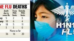 Swine flu claims 36 this year so far Swine flu claims 36 this year so far