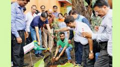 Tree plantation drive conducted in the city Tree plantation drive conducted in the city