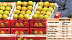 Weather takes away mango yield Weather takes away mango yield