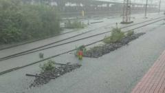 Downpour in Thane claims 1 life, holiday for edu institutions Downpour in Thane claims 1 life, holiday for edu institutions