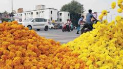 Marigold and gold are a hit this Diwali Marigold and gold are a hit this Diwali