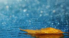 Monsoon advances in some areas Monsoon advances in some areas