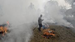 Pollution alert: Anti-stubble burning moves go up in smoke in Punjab, Haryana Pollution alert: Anti-stubble burning moves go up in smoke in Punjab, Haryana